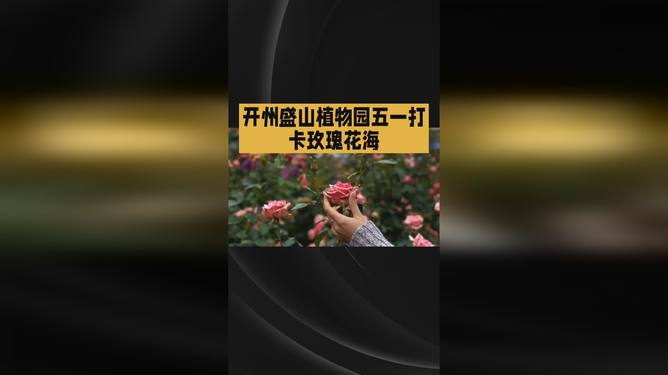 of视频 并注意网络安全与法律边界