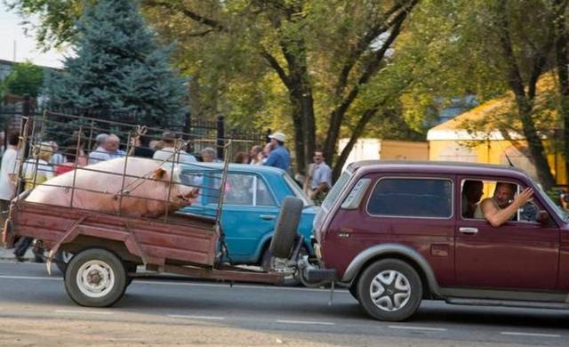 同人创作 同人创作尊重原作设定