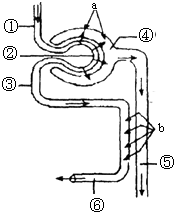 天天躁日日躁狠狠躁免费麻豆 就是天天每天心里都不踏实