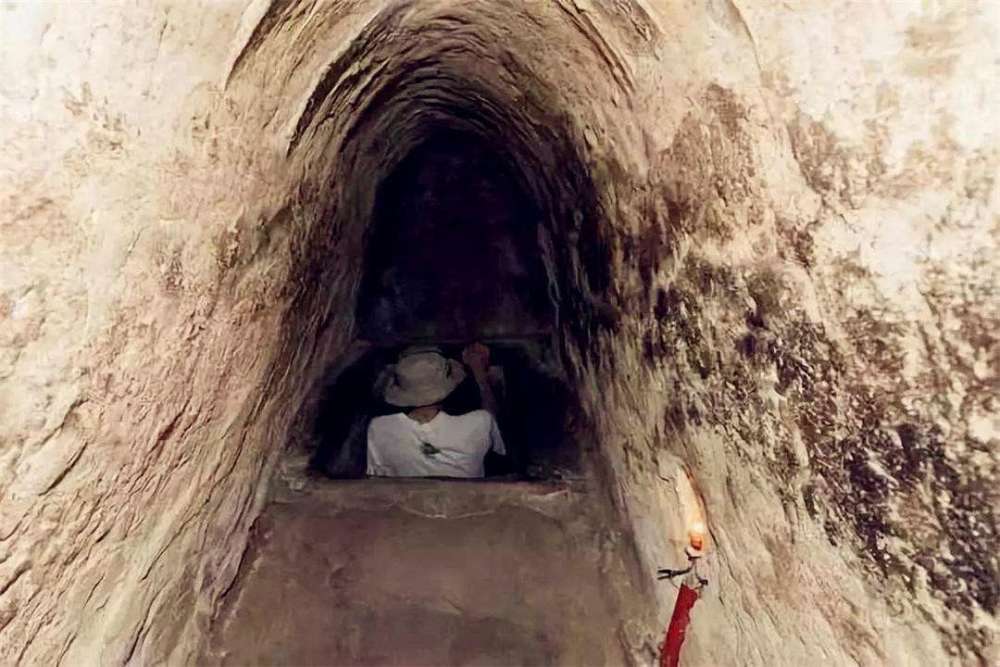 🔥影漫画 请告诉我您更想了解哪个方向