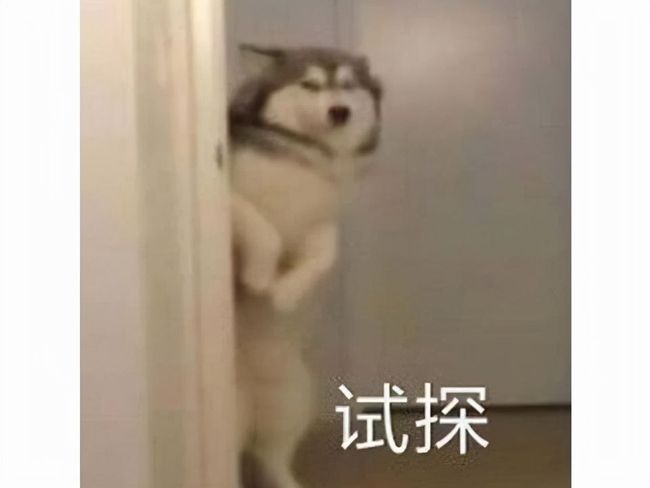 久久久久久精品免费s 