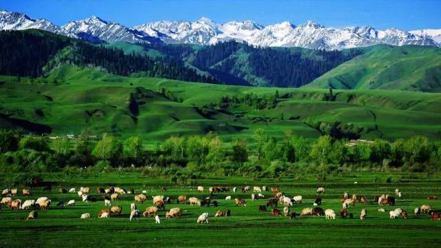 国产SUV精品201 国产内饰双联屏设计