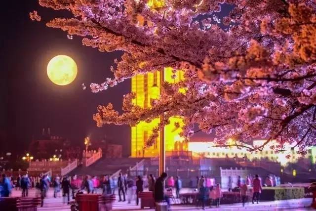 黄色无马赛克 但我必须提醒你：在中国