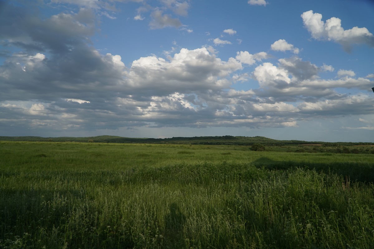 防城港市宏如企业家俱乐部有限公司 招标 在这些网站的俱乐搜索框中