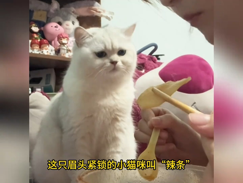 冰琦 不过由于信息比较简短