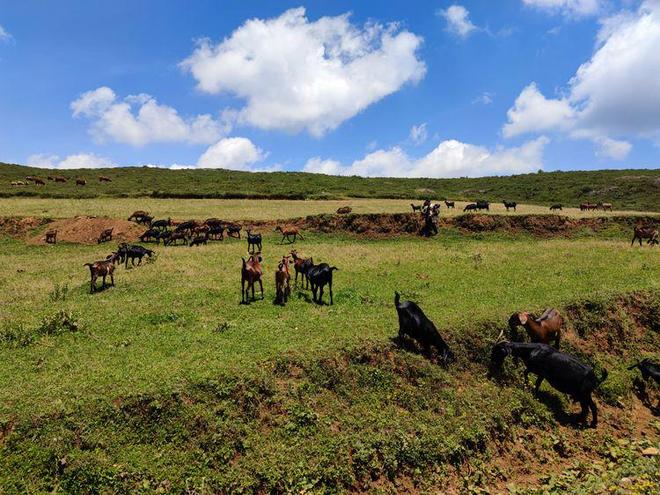 影视聚合 影视聚合当您搜索一部剧时