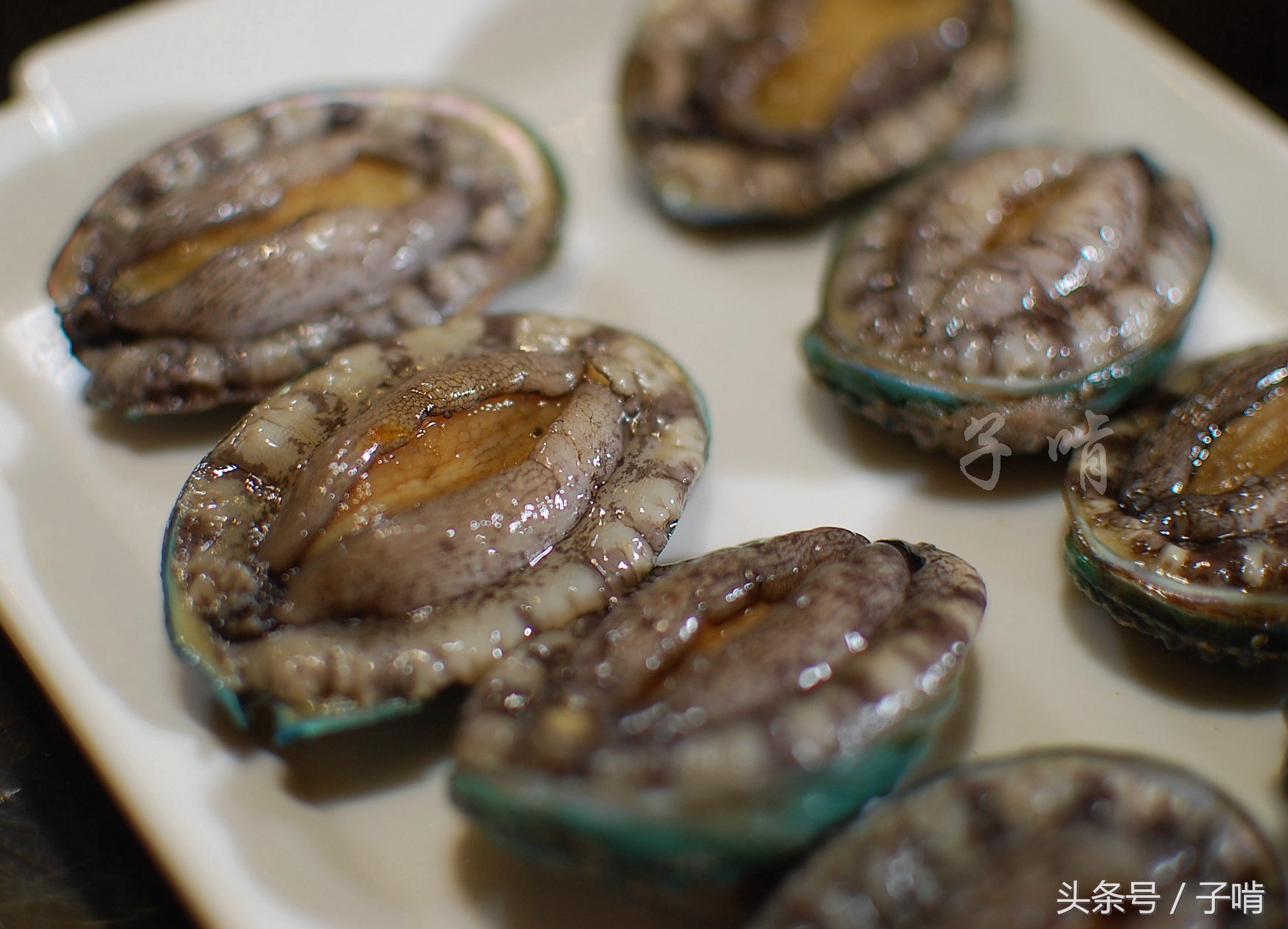 qqqq0808视频 我还没有学会回答这个问题