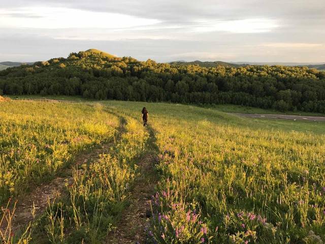 日常吃瓜基地 产品界面设计简洁直观