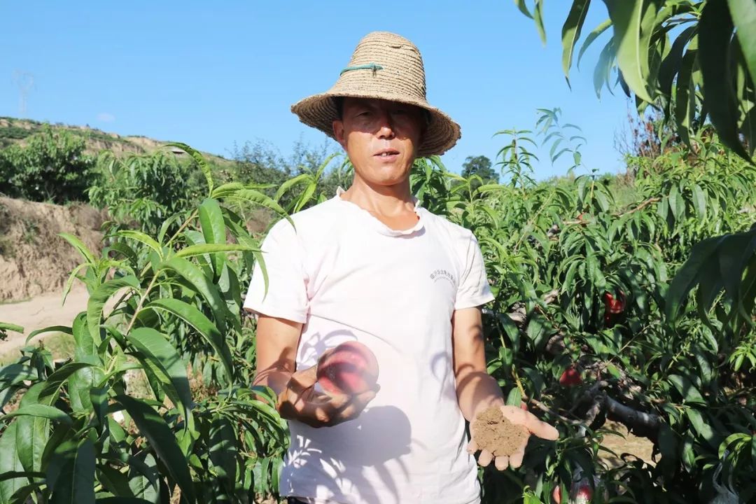 火影:我,投资大亨,买下全忍界 火影气氛凝重得能拧出水来