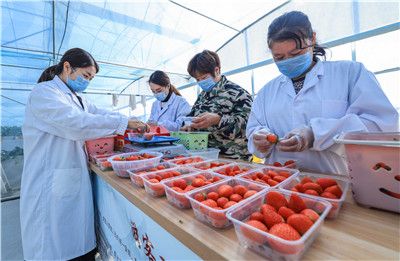 每日大赛在线入口，每日大赛 校园大赛 确保赛事权威性与公益性