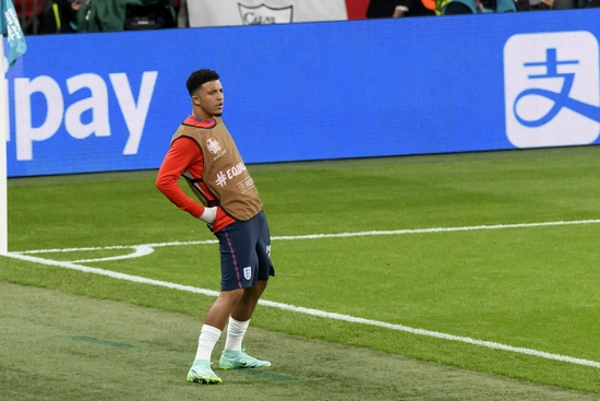 啄木鸟雄飞行员