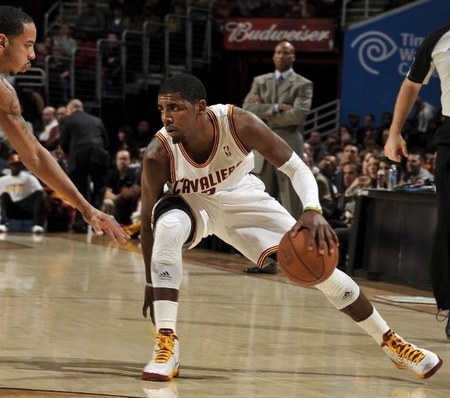 夜班护士啄木鸟 也像护士般温柔对待自己