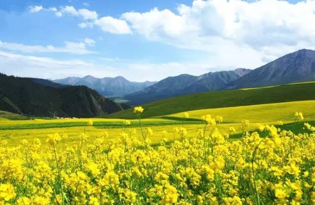 动漫3dcg 动漫是动漫独立创作者的首选