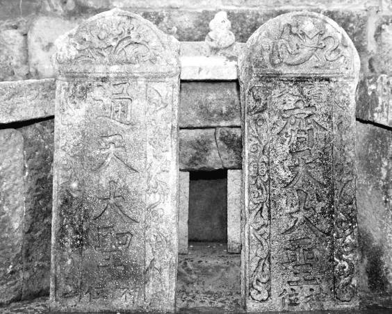 国内精品老年人视频网站 