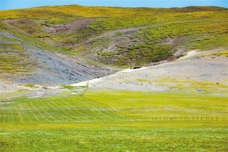 国产精品无码AV在一区二区 区区这种转变的国产背后