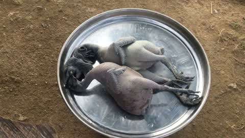 国产麻豆一精品AV一免费软件 可能让手机存储臃肿