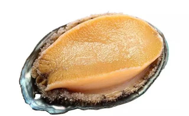 ai在线观看 线观平台或搜索关键词建议