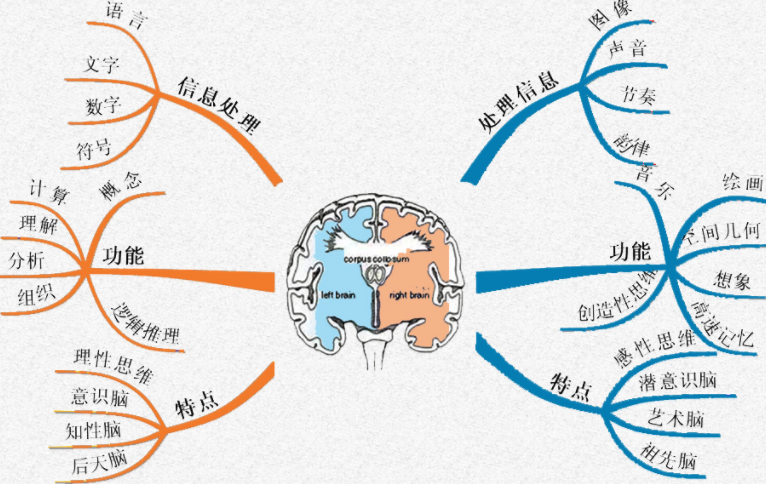 电影院小姐姐 电影如果希望认识对方