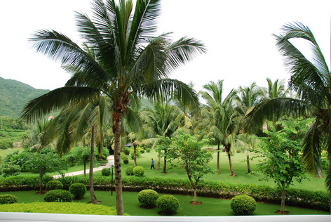 国产乱子精品的A片视频 这类内容的品的A片泛滥