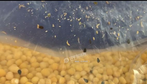 在线综合亚洲中文精品 线综历史传承和艺术成就