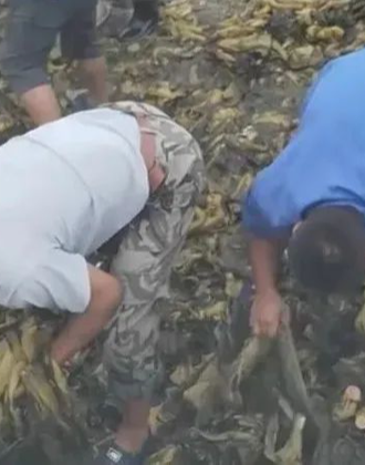 在线综合亚洲中文精品 线综历史传承和艺术成就