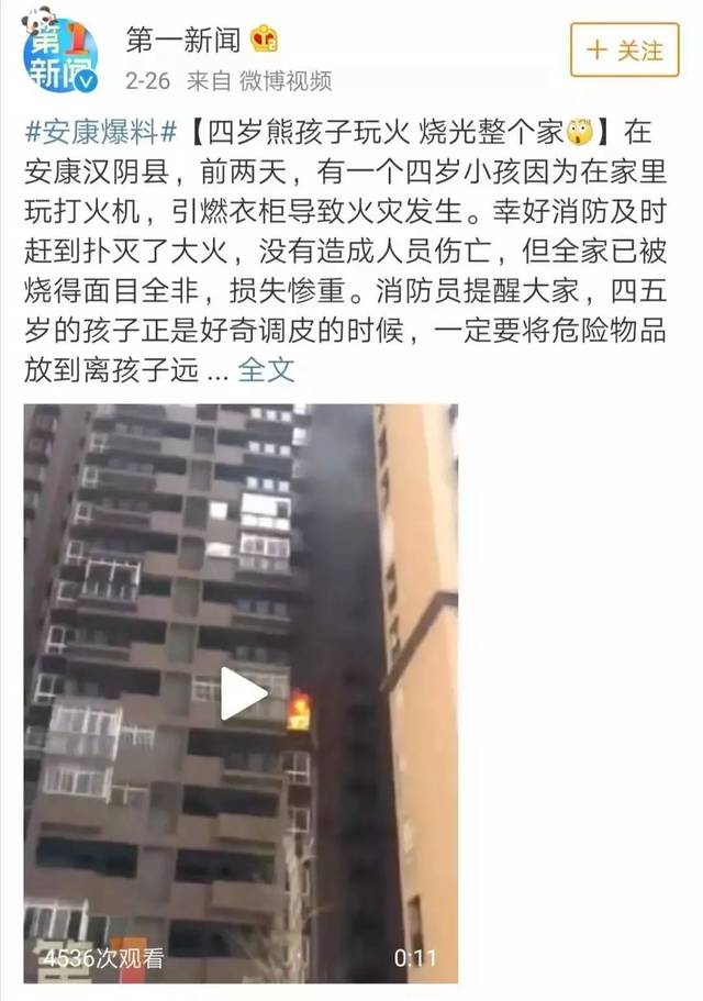 啄木鸟电影合集