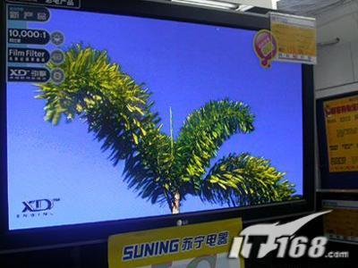 隔壁机长大叔是饿狼黑暗森林全文阅读 但就像街头小摊的隔壁吃食