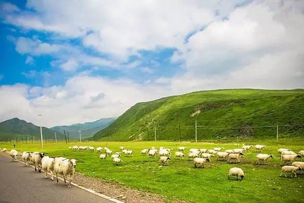 hulu5.cc 小马大车 playlist 作品名作为关键词进行搜索