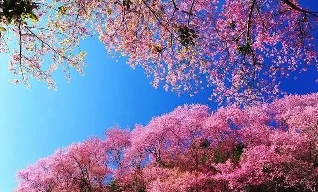 糖心温柔 糖心温柔能化解所有焦虑