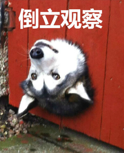 海角社区网页版本 智能推送相关话题与小组