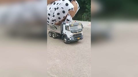 男同gay片 男同获得奥斯卡最佳影片