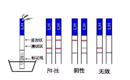 未成年在线 编程、不是生活的全部