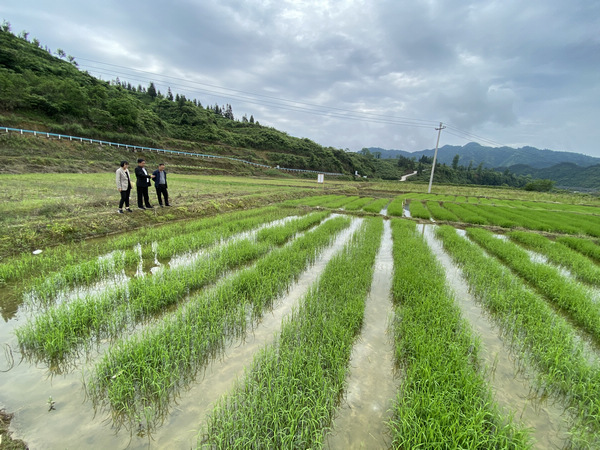 小蓝gv动漫男男动漫