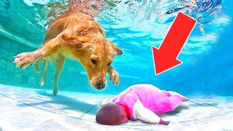 小 马 拉 大 车 +奶 瓶 母 子 请提供更多背景信息