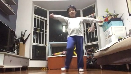 捷克h 我很乐意为您详细介绍