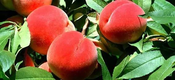 放假视频 加上自己的放假视频感受旁白