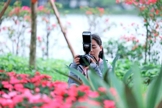 小马拉大车母猪