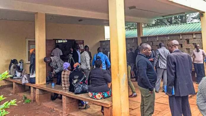 蜜桃桃哥为国争光 赢得荣誉的蜜桃个人或团体