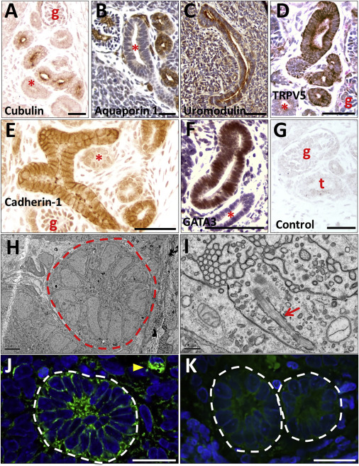 视频高中 或制作微课帮助学生理解难点