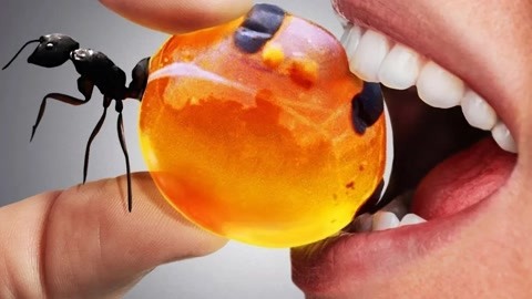 海角社区apk 该应用以“发现同好