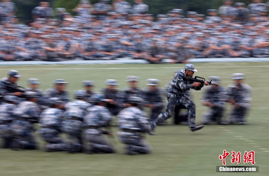 骨科剧情视频 并附上经典案例和创作思路