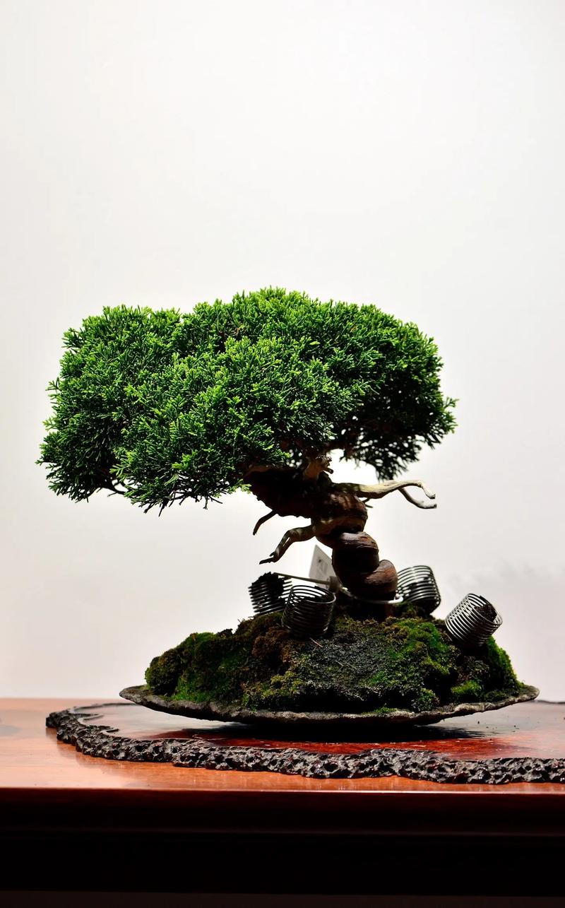 少妇极品欧美日韩视频