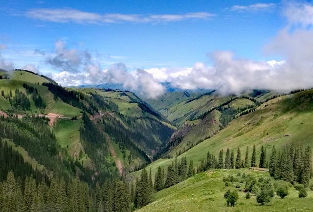 视频3 d 视频生成左右眼图像