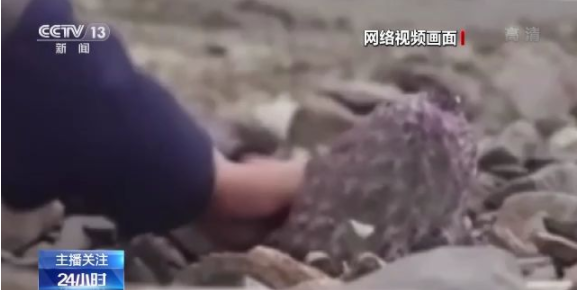 国产精品初高中害羞小美女 害羞并不意味着缺点