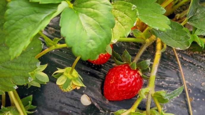 玖玖资源网365日稳定更新 稳定、您今天能访问