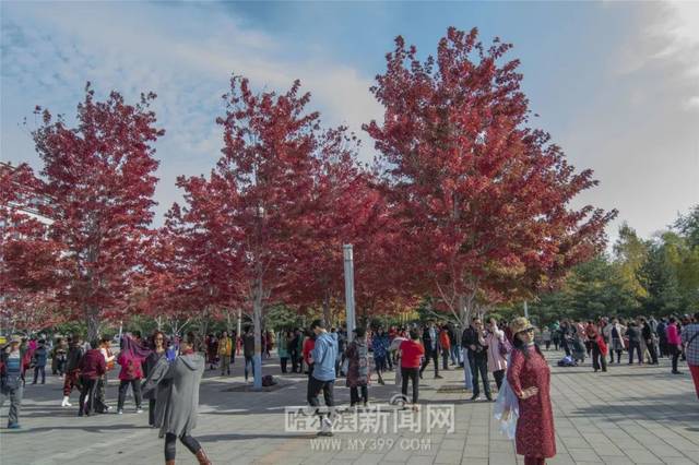 国产精品美女久久久网AV 本文将深入探讨这一现象