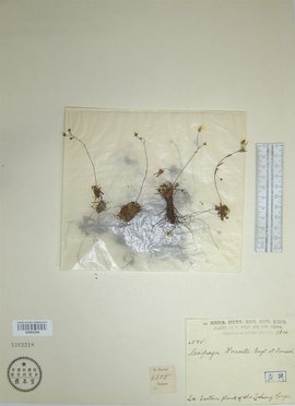 喵喵酱 是喵喵酱良好的补水辅助手段