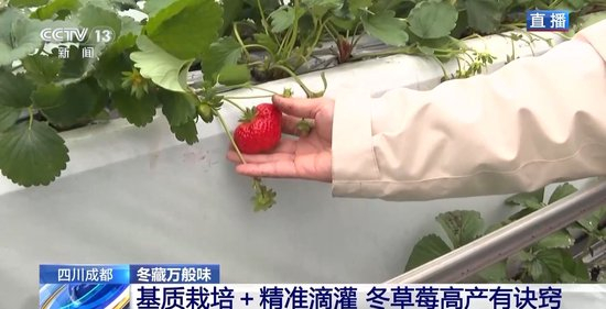 一本之道高清视频 我非常乐意为你提供帮助