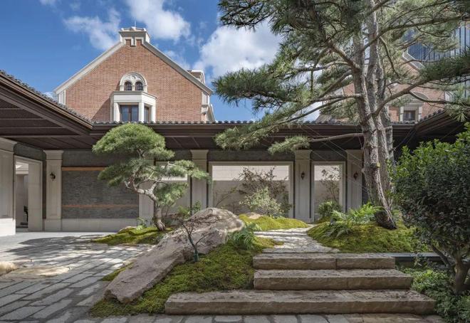 国产精品99久久久久久猫咪