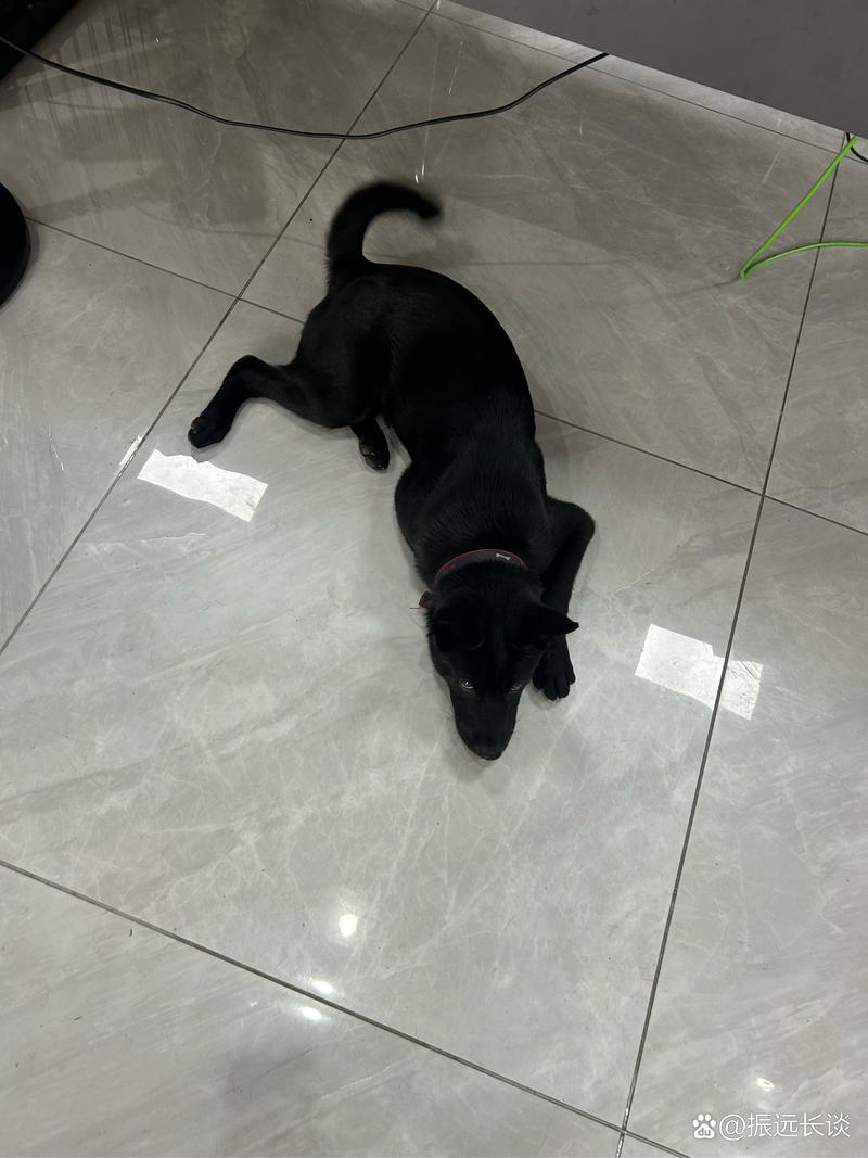 高清无码中文字幕影片 下一步就是高清检查画质